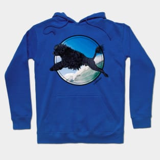 Aquapoise Hoodie